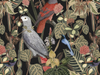 Parrot and Plants Black BG Seamless (WA-2837738)