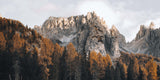 Dolomites in Autumn Trees (CA)